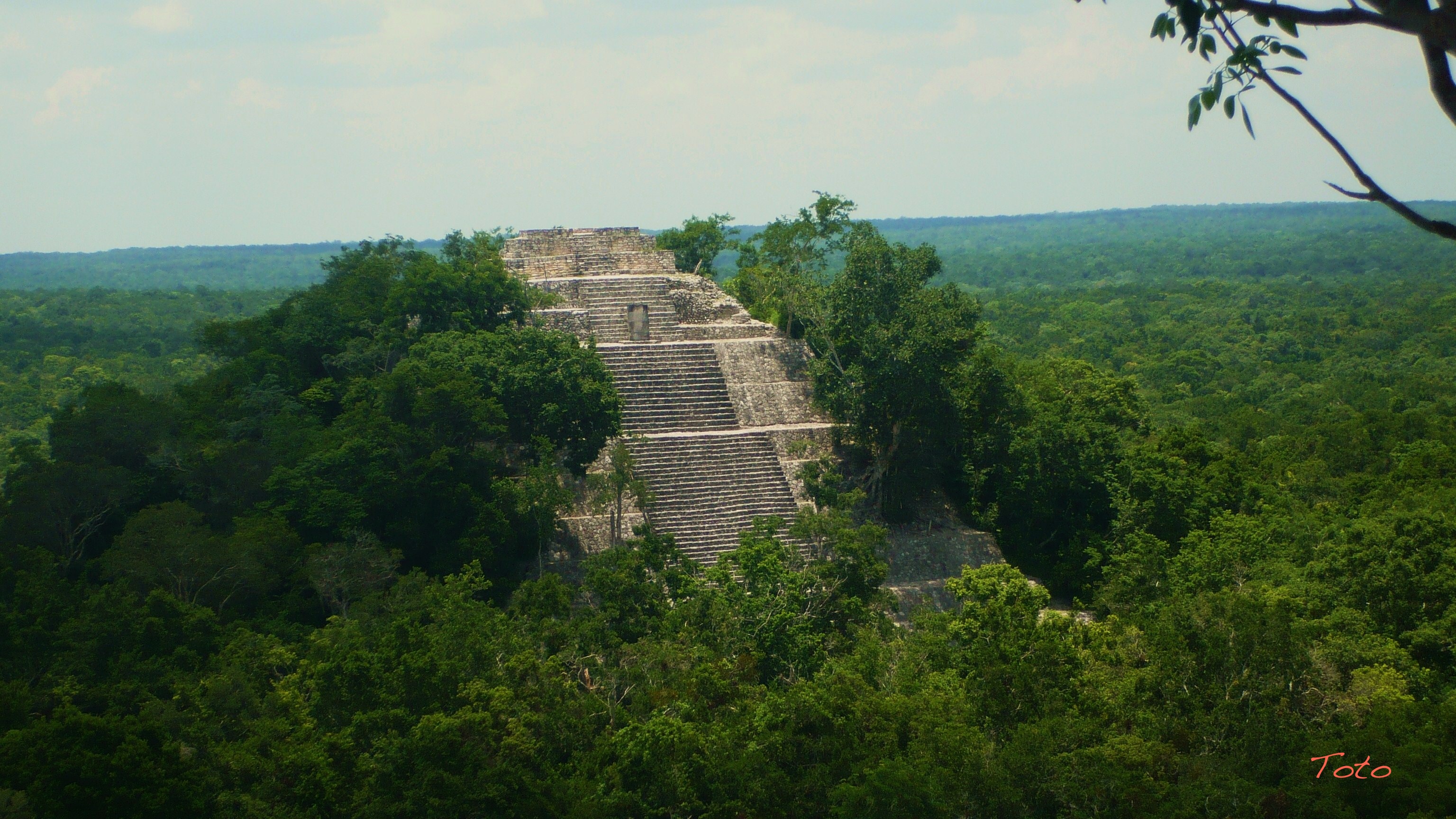Piramide principal de Calakmul